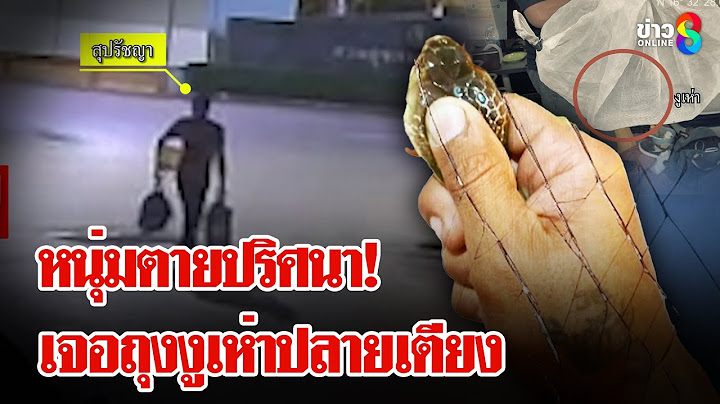 หนุ่มเล่นงูเห่า เจอเป็นศพคาโรงแรม พี่ไม่แปลกใจเผยน้องชอบทรมานสัตว์ | ลุยชนข่าว | 3 ก.ค. 68