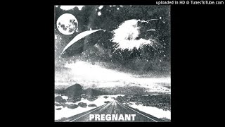 Video thumbnail of "PREGNANT - Wanna See My Gun?"