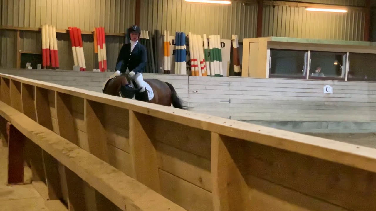 MB2 til 71,3% på Pandia