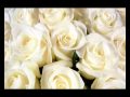 Aleksander Jež - Bele Vrtnice Kradel Sem Zate