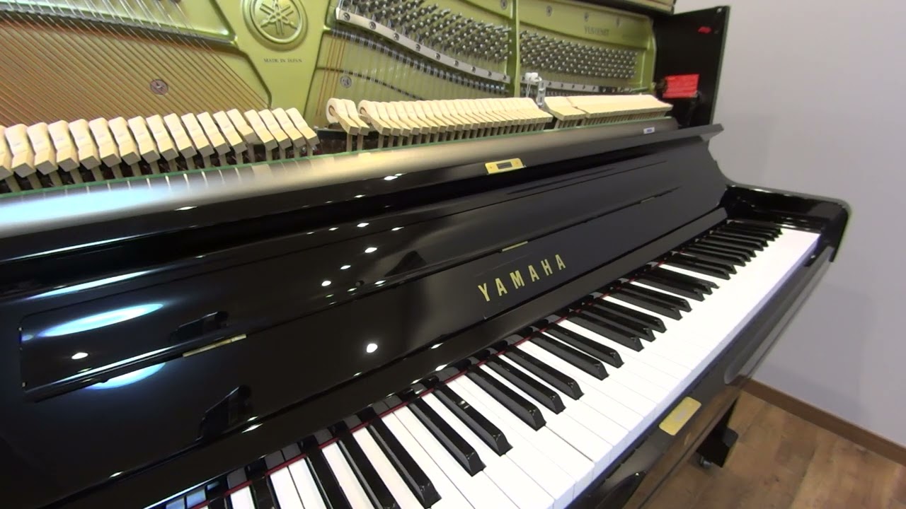 ゆず　数量限定発売　ピアニカ　ゆずのね　YAMAHA ゆず 数量限定発売 ピアニカ ゆずのね YAMAHA ゆず数量限定発売