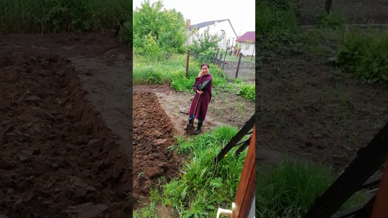 Малолетка Сделала Минет Порно