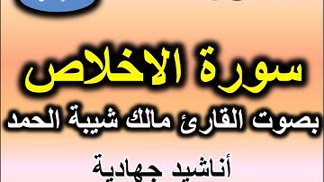 سورة الاخلاص بصوت القارئ مالك شيبة الحمد