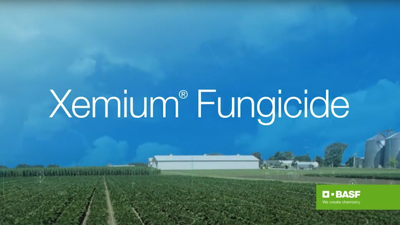 Xemium® Fungicide YouTube