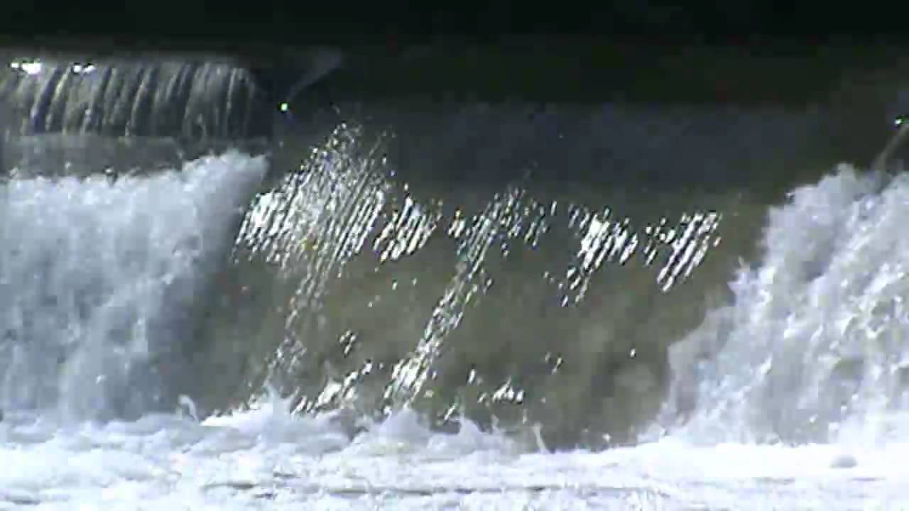 20111001 Salmon jump the falls YouTube