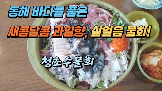 [맛집리뷰] 청초수물회 - 동해바다를 품은 새콤달콤 과…