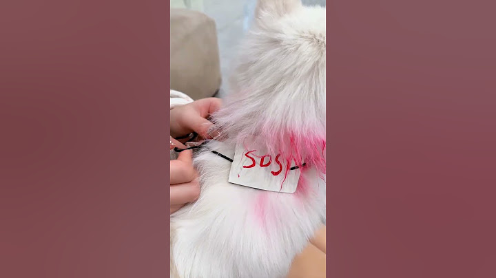 Harley Quinn saves herself with her dog#Harley Quinn #joker