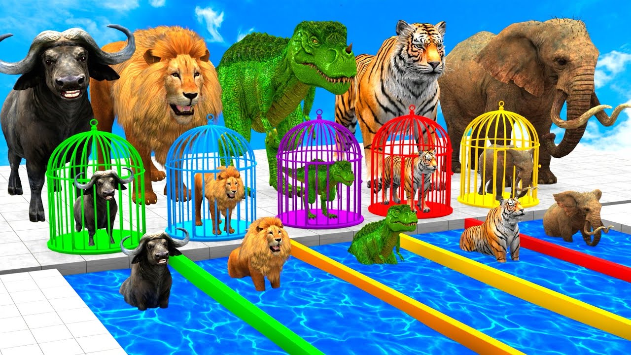 Long Slide Game With Elephant Gorilla Buffalo Hippopotamus Tiger. 3d Funny Animal Game. Paint Animal