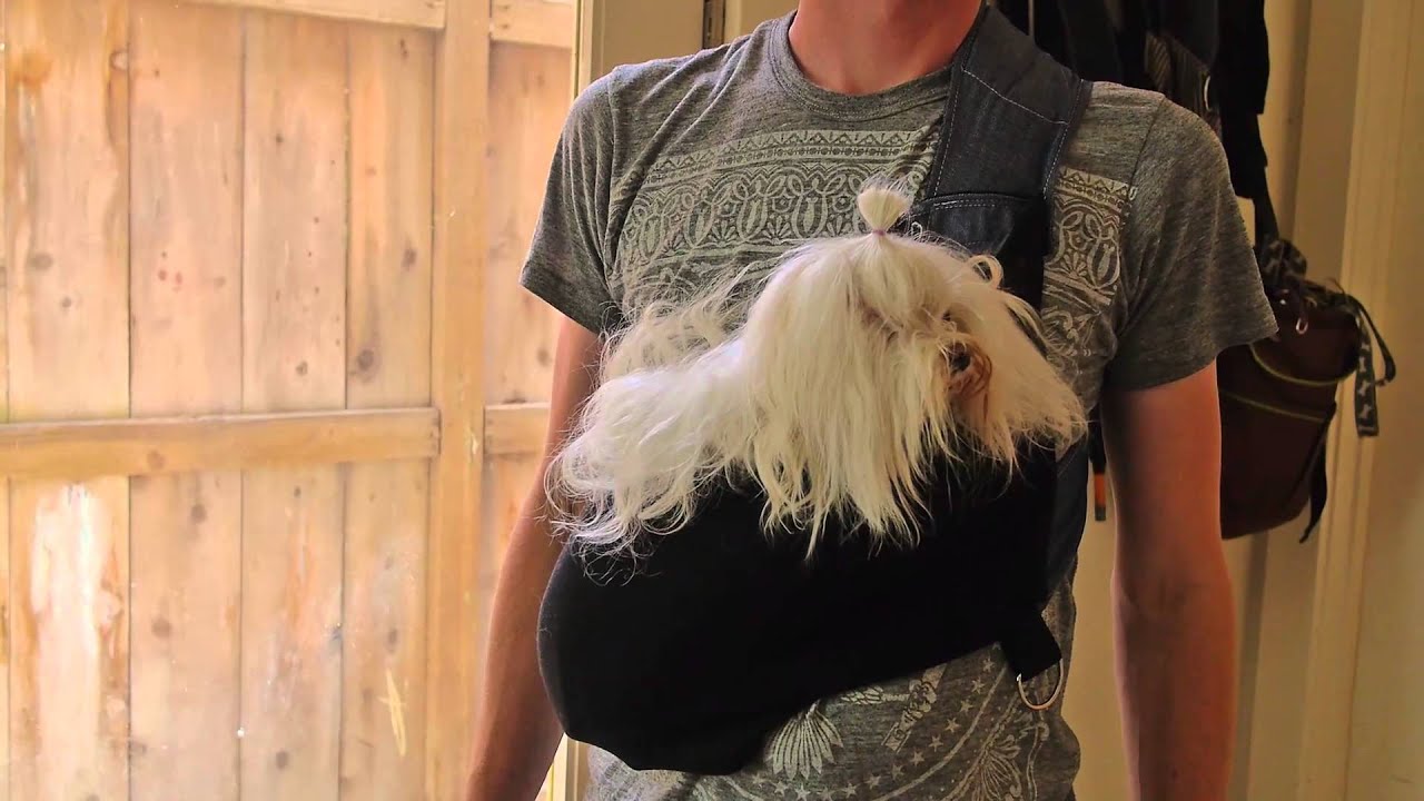 Kangapooch: the Small Dog Carrier. Made in USA. Organic Cotton 