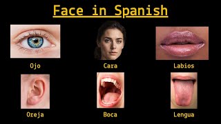 Parts of the Face in Spanish