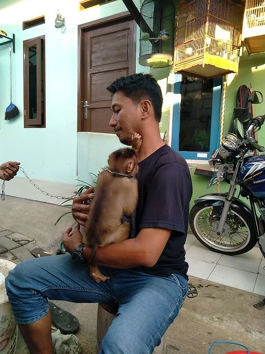 dasar cewek nakal