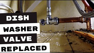 PLUMBING REPAIRS | DISHWASHER VALVE REPLACED | PLUMBING APPRENTICE