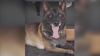 Trial for suspect accused of killing K9 Chucky continues