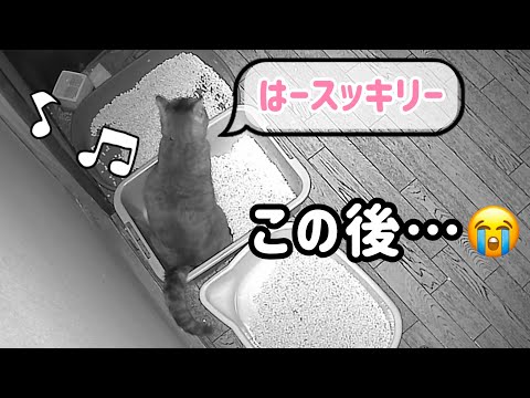 Tragedy after peeing