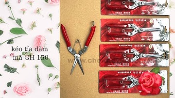 kéo tỉa dăm mã GH150 hàng SK5 cao cấp phục vụ các bác làm cây LH 0984855975