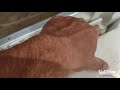 Silverton 312, Boat Sliding Door Repair: How to Fix Sticking or Jammed Doors