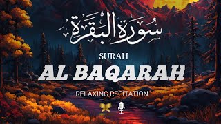 Surah Al Baqarah Full (سورة البقره) HEART TOUCHING RECITATION | Al Quran Merdu