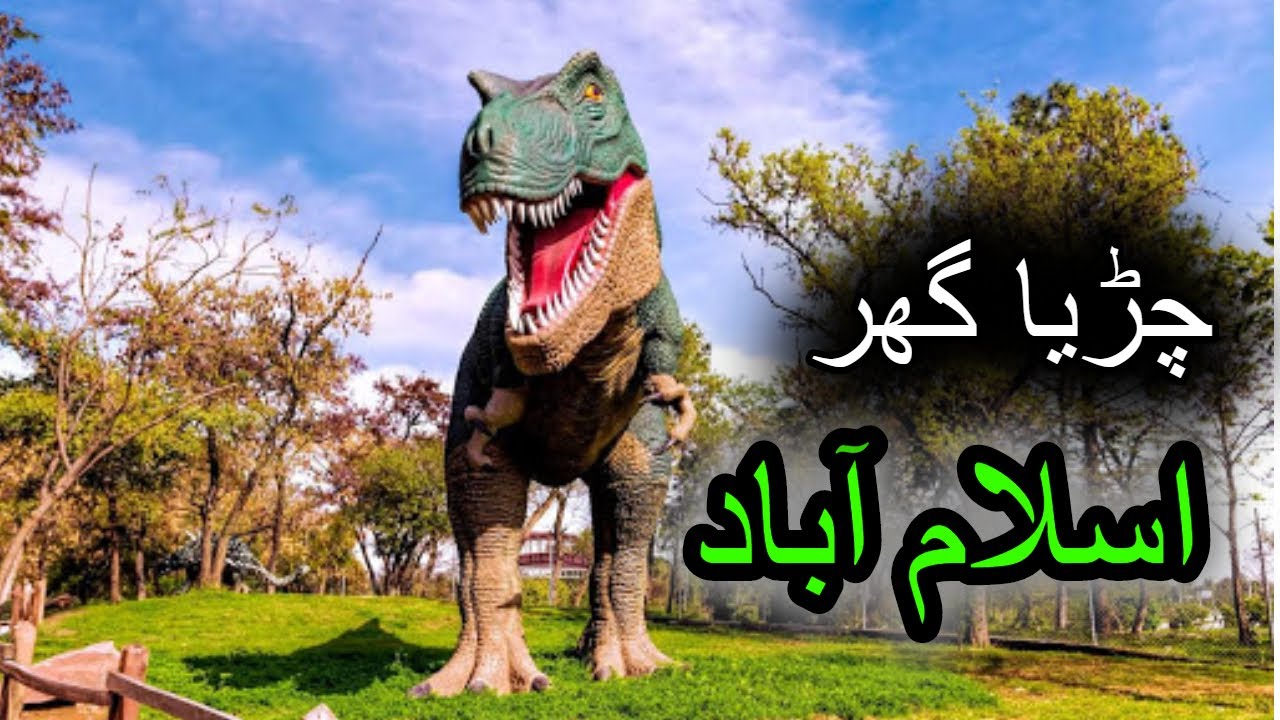 Islamabad Marghazar zoo Dinosaur