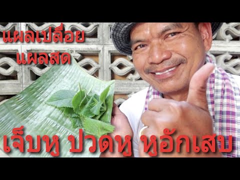 หูอักเสบ เจ็บหู ปวดหู แผลสด แผลเปลื่อย ทำตามนี้หายแน่นอน
