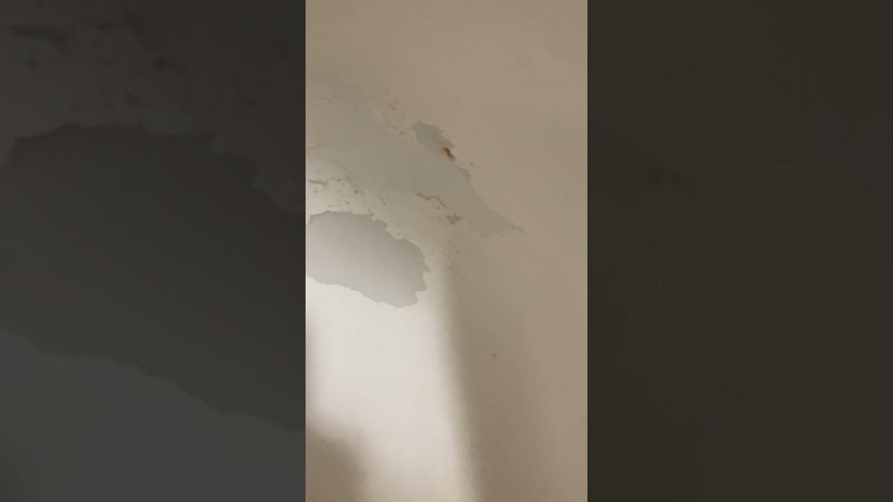 Nasty 🤢🤮 ass hotel 🏨 Days inn in Warren Mi , These MFkz on crack fr fr