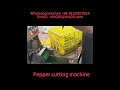 Automatic pepper cutting machine chili slicer vegetable cutting machine food porcessing machinery