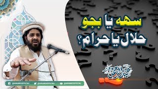 Sahh Or Bejjo Halal Hai Ya Haram | سہہ اور بجو حلال ہے یا حرام | Mufti Abd Ul Rehman Abid Resimi