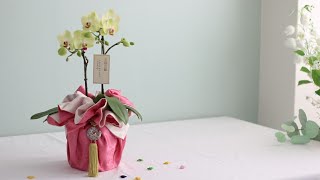 예비 신부님를 위한 예단난 보자기 포장법 | 호접란 보자기 포장 Bojagi Wrapping- Korean Traditional Gift Wrapping