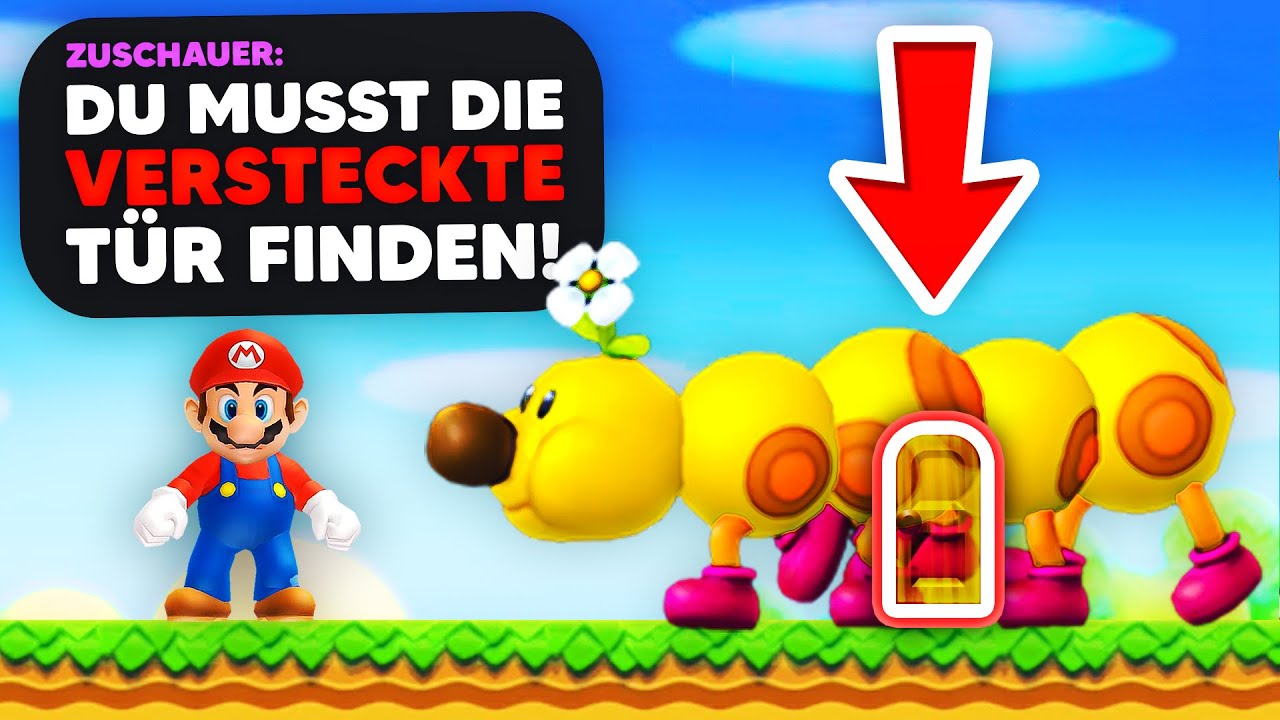 Zuschauer FORDERT mich mit VERSTECKTER Tür HERAUS!