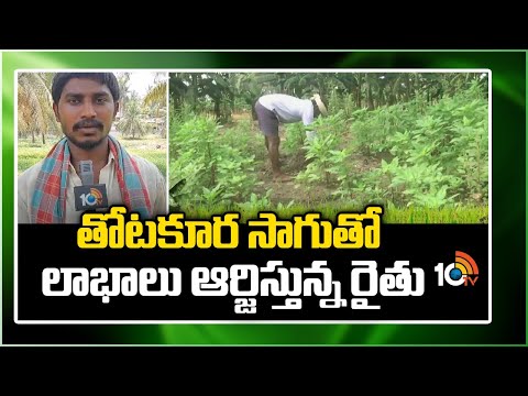 Thotakura Cultivation | తోటకూర సాగుతో లాభాలు ఆర్జిస్తున్న రైతు | Matti Manishi | 10TV News - 10TVNEWSTELUGU