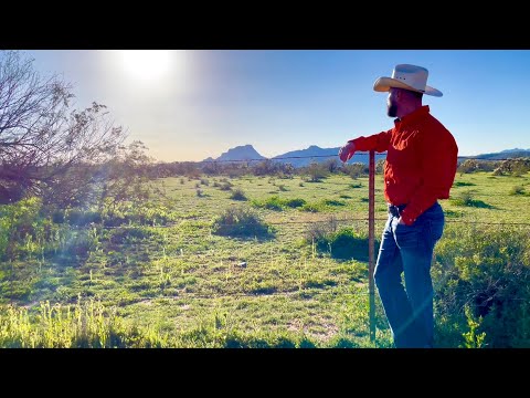 Chain Smokin - Morgan Wallen