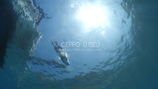 Ceppo DIseo : Forged Splendor in Every Flake | RAK Ceramics