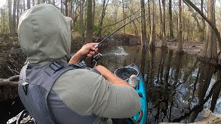 Fishing a LITTLE river for BASS and REDBREAST!