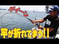 あかんって！！竿が折れてまうって！！【船釣り】ーOh my god! ! My niece is broken! !