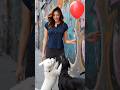 Girl baloon game dogs 😍Who this game combination ⁉️#shorts #shortsfeed #viralshorts #challenge #game
