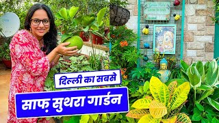 दिल्ली का सबसे साफ़ सुथरा गार्डन  छत पे है फलों के पौधों की भरमार  Fruit Plants Gardening Tips