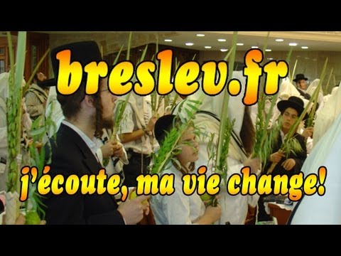 Breslev, LE VRAI BON CV. R.Ifrah