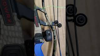 Whats my bow Hoyts Hybrid Bow