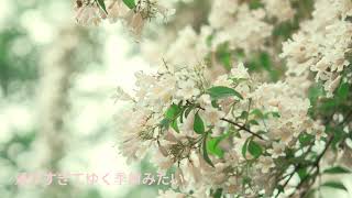 アイザック/vocal:結月ゆかり Lyric video