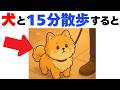 【絶対見て!!】わんこの散歩にまつわる大切な雑学１２選｜犬の厳選雑学