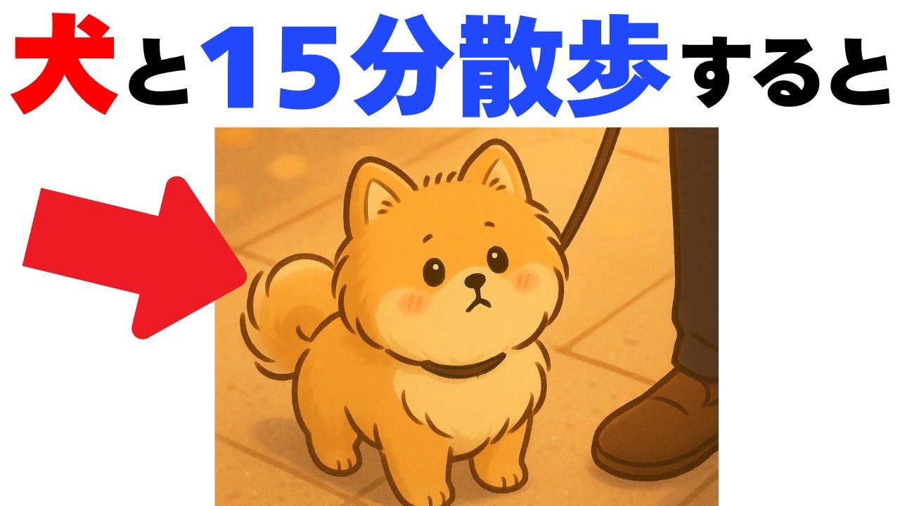 【絶対見て!!】わんこの散歩にまつわる大切な雑学１２選｜犬の厳選雑学