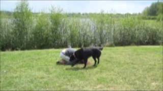 Jumping Through Body Shapes And Precision Tricks