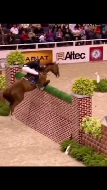 how-much-meters-he-jump-forever-horses-horse-equipou