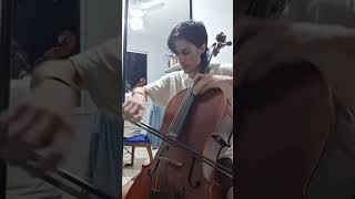 Metallica - Nothing Else Matters #cello #metallica #apocalyptica