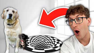 Puddin Dozer Vs Illusion Rug