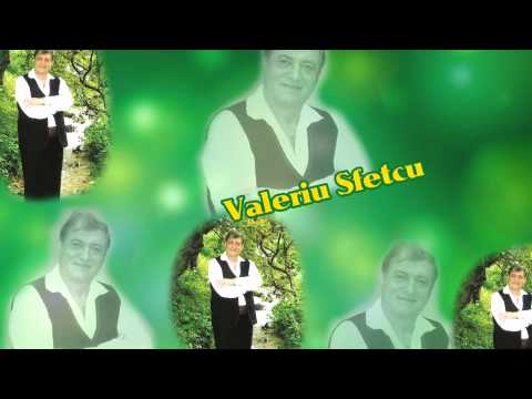 Valeriu Sfetcu-Tinerete, floare rara (Official Audio) NOU