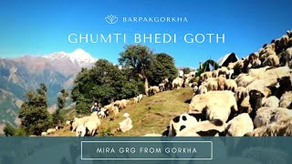 भेडी गाेठमा Part 1 | BHEDI GOTH VLOG | shepherd life | Meeragurungvlog |Nepal |Gorkha