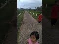 Main layang layang di sawah
