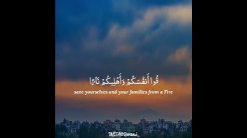 عبد العزيز الزهراني..سورة التحريم.. اللهم قِنا عذاب النار...🙌🏻🌸🌿