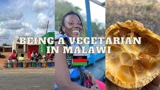 Malawi Vlog part 2: OUR BUS BROKE DOWN I EATING EXOTIC FRUITS I LAKE MALAWI BOAT RIDE