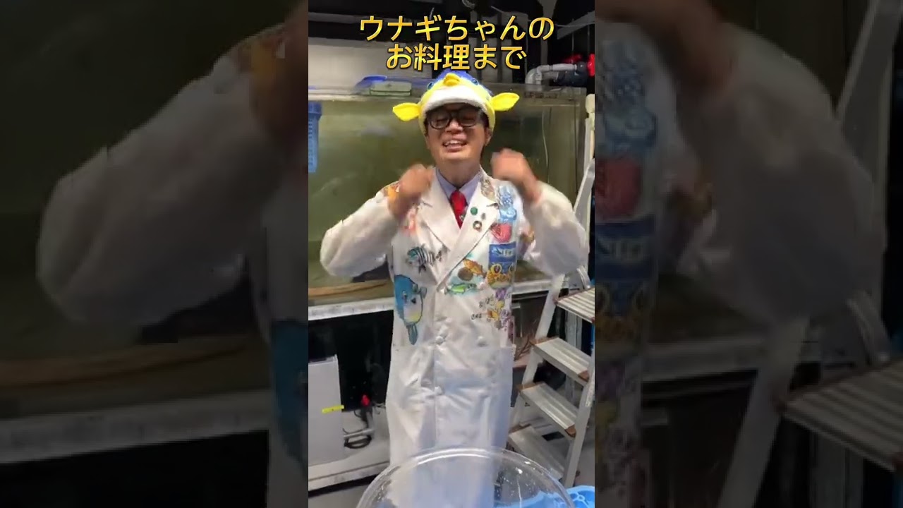 ギョギョッとサカナ★スター!NHK総合 9/23(金)午後7時30分~【うなぎちゃんSP】 shorts YouTube